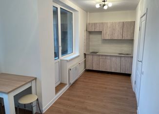 Сдача в аренду квартиры студии, 25 м2, Мурино, Екатерининская улица, 30, ЖК Авиатор