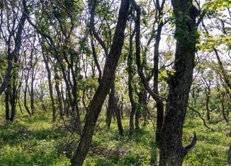 Продаю участок, 20 сот., посёлок Попова, Ольховая улица, 20