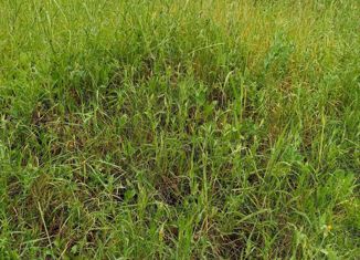 Продам земельный участок, 7 сот., село Кулешовка, Яблочная улица