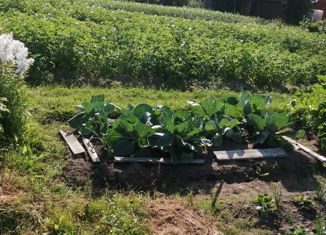 Участок на продажу, 10 сот., территория Эжвинский