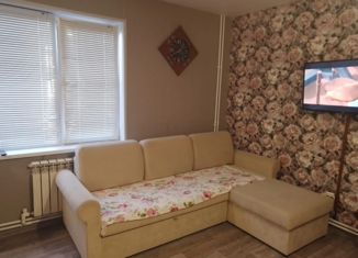 Таунхаус на продажу, 47 м2, деревня Старые Киешки, Башкирская улица, 10/1