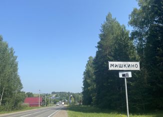 Продам участок, 19 сот., село Мишкино, Центральная улица