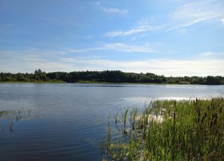 Продам участок, 35 сот., деревня Дальнее Хорошово, 28Н-0796