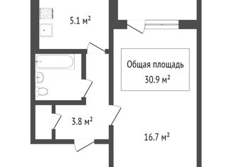 Продажа 1-комнатной квартиры, 30.9 м2, Новосибирск, метро Красный проспект, улица Урицкого, 19