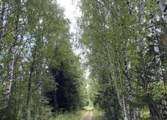 Продается земельный участок, 15 сот., деревня Грузди, Центральная улица, 19