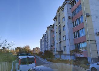 Продажа квартиры студии, 56.4 м2, село Михайловка, Тихоокеанская улица, 58