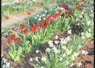 Продам дом, 30 м2, садоводческое некоммерческое товарищество Дон