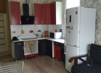 Продажа квартиры студии, 23.7 м2, село Краевско-Армянское, Измайловская улица, 59А