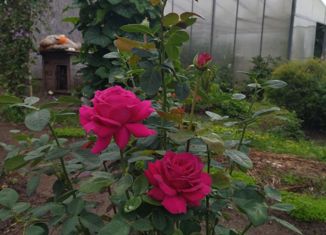 Продаю дом, 73.8 м2, деревня Горная Шальдиха, Сиреневая улица, 38