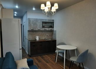 Продается квартира студия, 23 м2, село Орёл-Изумруд, улица Лазурная Долина, 191Ас1