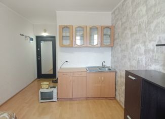 Продам 1-комнатную квартиру, 17.8 м2, Брянск, переулок Олега Кошевого, 32, Фокинский район