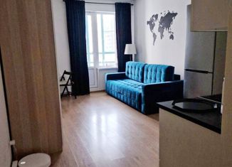 Продается квартира студия, 25 м2, Мурино, улица Шувалова, 11, ЖК Гринландия