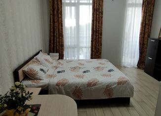 Продам квартиру студию, 28 м2, Сочи, Каспийская улица, 8/1, микрорайон Блиново