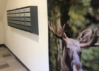 Продажа трехкомнатной квартиры, 76.8 м2, Сертолово, ЖК Новое Сертолово, улица Мира, 9к2