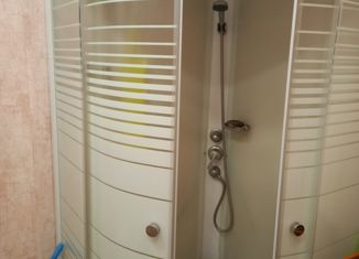 Продажа 1-ком. квартиры, 29.2 м2, Елизово, улица Завойко, 81