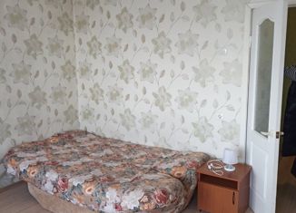 Сдается 1-комнатная квартира, 40 м2, Красноярск, Уютный переулок, 7
