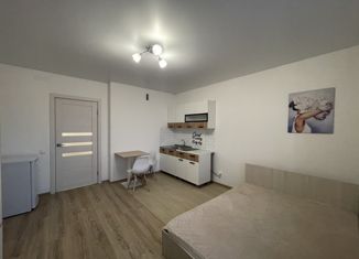 Продаю квартиру студию, 22.6 м2, Нижний Новгород, метро Горьковская, проспект Героев Донбасса, 8