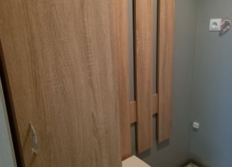 Сдается в аренду квартира студия, 19.2 м2, Мурино, Воронцовский бульвар, ЖК Краски Лета