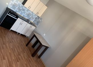 Сдача в аренду квартиры студии, 27 м2, Красноярск, Соколовская улица, 80А, жилой район Солнечный