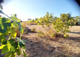 Продажа участка, 5 сот., товарищество собственников недвижимости Аджимушкаец, Фруктовая улица