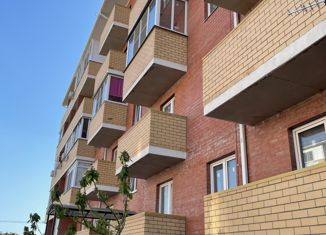 Продам 1-комнатную квартиру, 29.6 м2, посёлок Российский, улица имени В.М. Комарова, 106Бк3