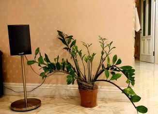 Трехкомнатная квартира на продажу, 87.4 м2, Санкт-Петербург, улица Десантников, 20к3, улица Десантников