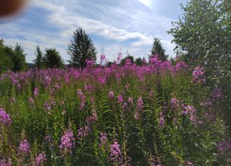 Продаю земельный участок, 15 сот., ДНТ Поселок Западный-Элита, Лесная улица