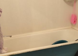 Продажа 3-ком. квартиры, 63.5 м2, поселок Коммунарский, Центральная улица, 5