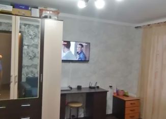 Продажа однокомнатной квартиры, 28 м2, Нижнекамск, проспект Химиков, 76В