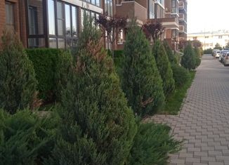 Продажа квартиры студии, 25 м2, Анапа, Анапское шоссе, 24к3, ЖК Раз-Два-Три