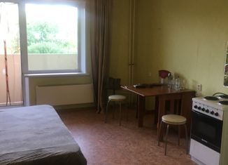 Сдам 1-комнатную квартиру, 26 м2, Челябинск, Набережная улица, 9А