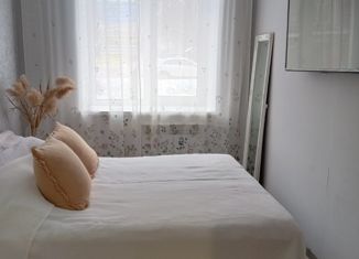 2-комнатная квартира на продажу, 41.2 м2, Павлово, улица Кирова, 30