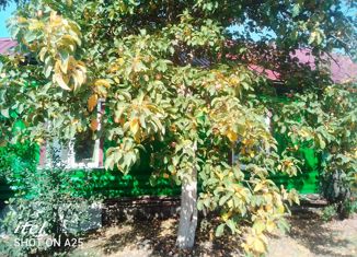 Продам дом, 68 м2, Исилькуль, улица Некрасова