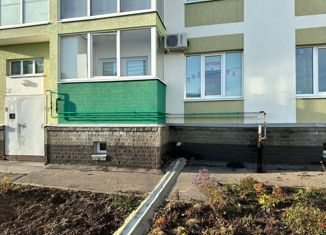 Продается 1-ком. квартира, 31.1 м2, сельский посёлок Новинки, ЖК Окский Берег, Олимпийский проспект, 22