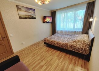 Продажа трехкомнатной квартиры, 55 м2, Санкт-Петербург, Старо-Петергофский проспект, 35, Адмиралтейский район