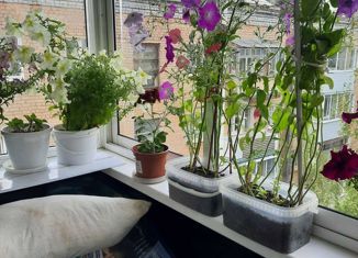 Продам 1-комнатную квартиру, 30 м2, Ковров, микрорайон Ковров-8, 8