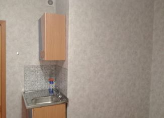 Квартира в аренду студия, 27 м2, Красноярск, улица Петра Подзолкова, 5А, ЖК Светлый