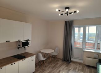 Продаю квартиру студию, 24 м2, поселок Зональная Станция, улица Титова, 6