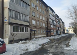 Продается 2-комнатная квартира, 45.5 м2, село Покровка, Завитая улица, 4