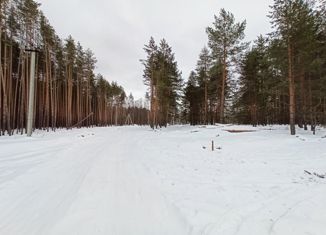 Продажа земельного участка, 22 сот., деревня Ладога