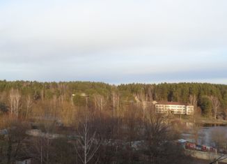 Продаю 2-комнатную квартиру, 48 м2, Кремёнки, Озёрная улица, 2