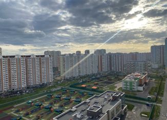 Продается 2-ком. квартира, 50 м2, Москва, улица Вертолётчиков, 5к1, метро Некрасовка