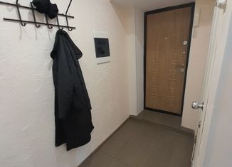 Однокомнатная квартира в аренду, 30.4 м2, Пермь, Закамская улица, 35