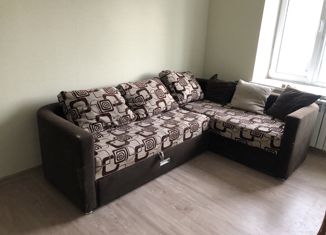 Однокомнатная квартира в аренду, 30 м2, село Стрелецкое, улица Королёва, 38А