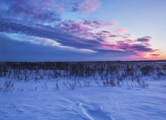 Продается земельный участок, 10 сот., деревня Боровое, улица Дудина