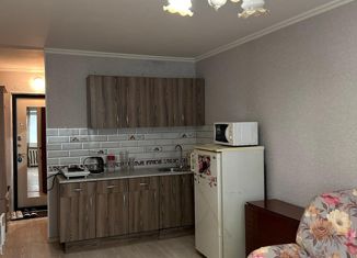 Продажа 1-комнатной квартиры, 23 м2, Кемеровская область, улица Ворошилова, 40