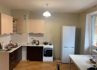 Продается квартира студия, 28.7 м2, Санкт-Петербург, Заречная улица, 45к2, метро Парнас