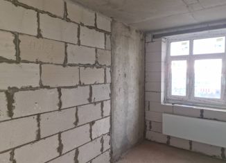 Продается 1-ком. квартира, 49 м2, деревня Ивановское, улица Николинские Ключи, 49