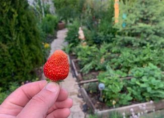 Продаю дом, 70 м2, Набережные Челны, СНТ Кама-2, 228