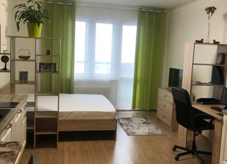 Сдается в аренду квартира студия, 32 м2, Санкт-Петербург, аллея Евгения Шварца, 7, аллея Евгения Шварца